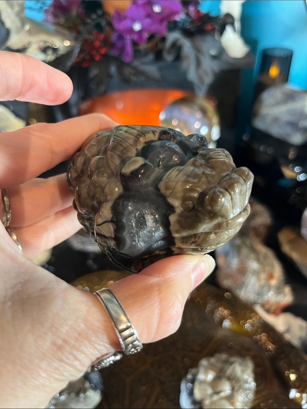 Volcano agate money toad - Picture 4 of 6
